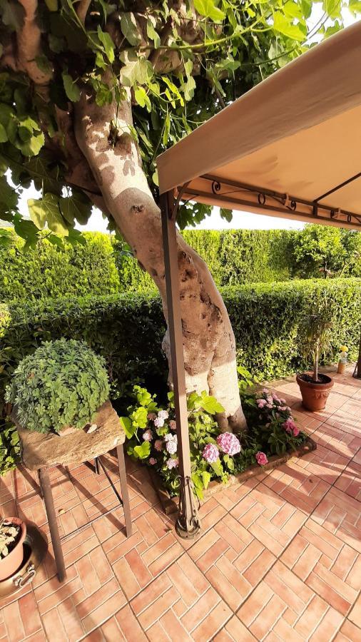 Casale Battaglini Bed & Breakfast Castelnuovo Cilento Екстериор снимка