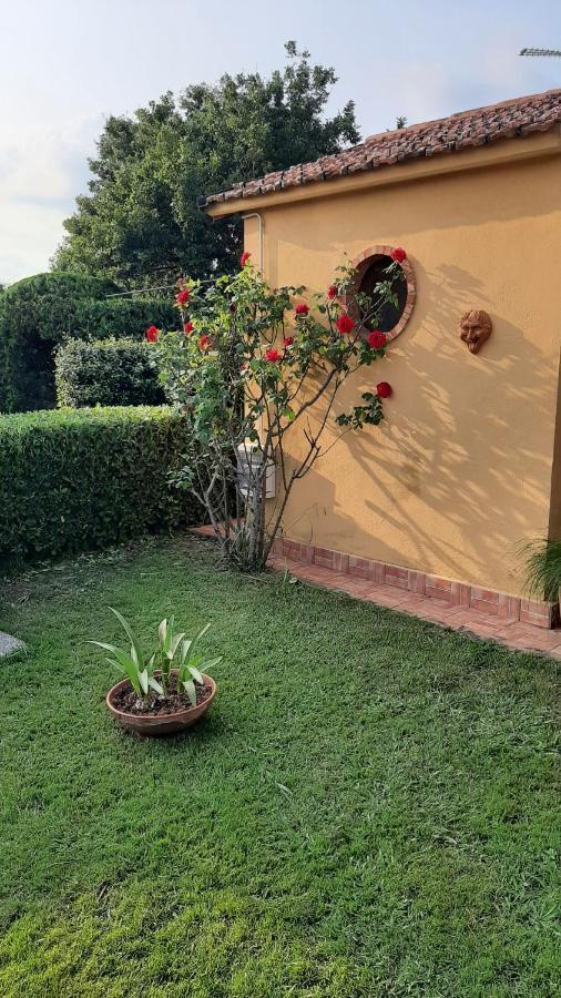 Casale Battaglini Bed & Breakfast Castelnuovo Cilento Екстериор снимка
